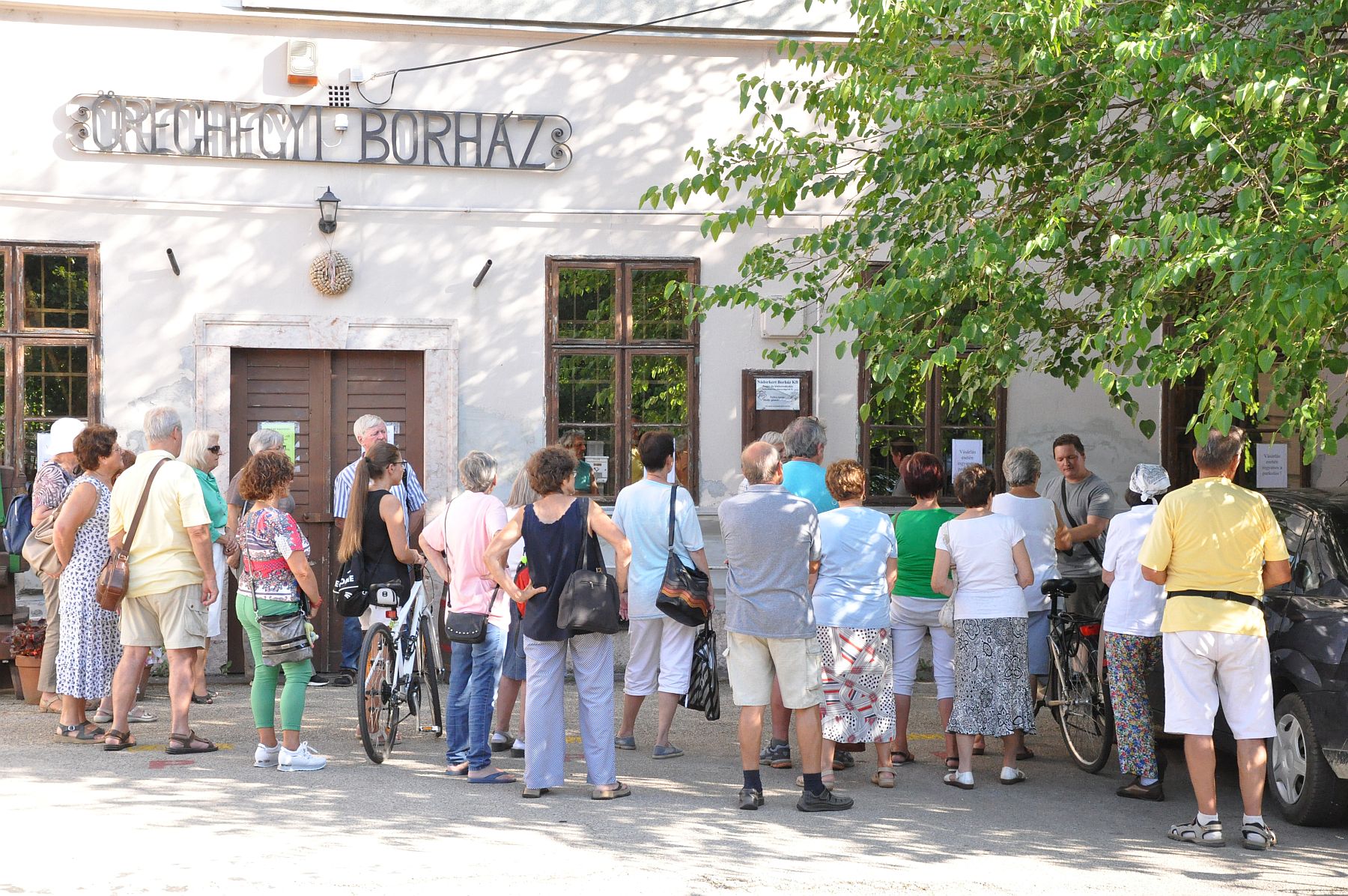 Öreghegy történetét mutatta be a Váczi Márk városkutató vezette városrészi séta